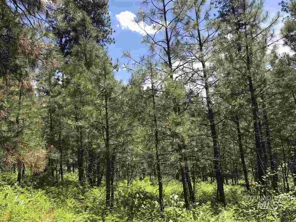 $310,000 | Lot 2 Card Creek, Unit 3, Garden Valley, ID 83622