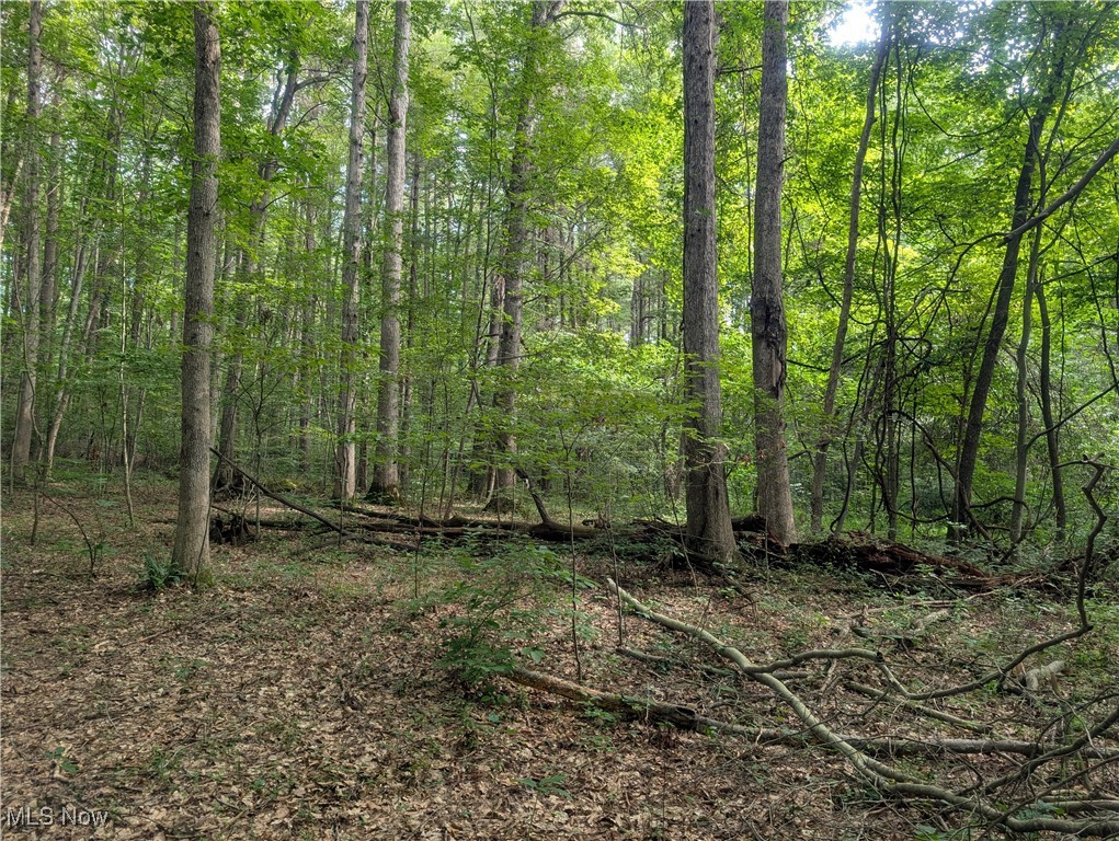 Toll Gate Road Northwest Somerset, OH 43783 - Photo 10 of 40 View of wooded area