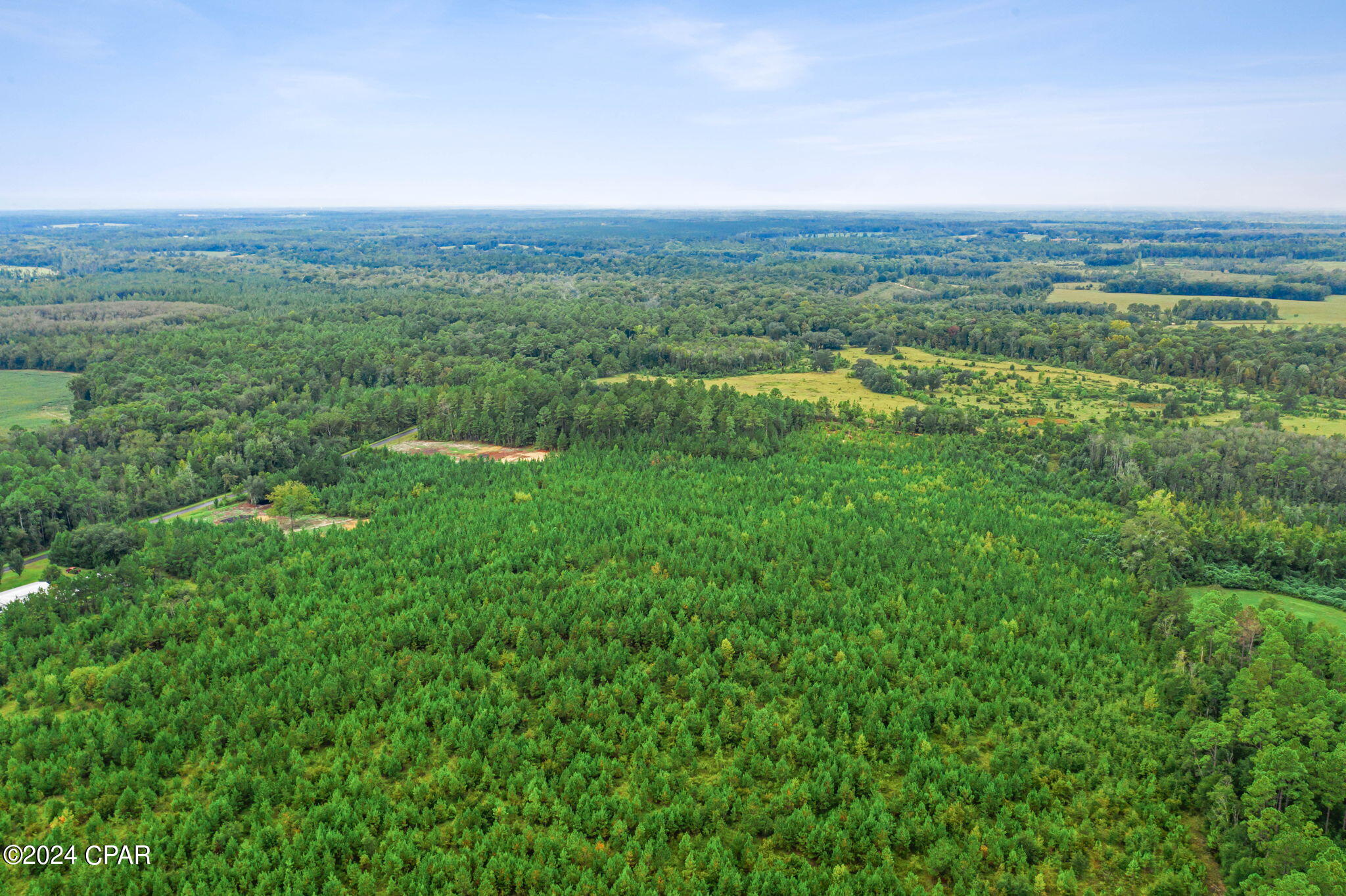Lot 2 Reddick Mill Road Graceville, FL 32440 - Photo 13 of 21
