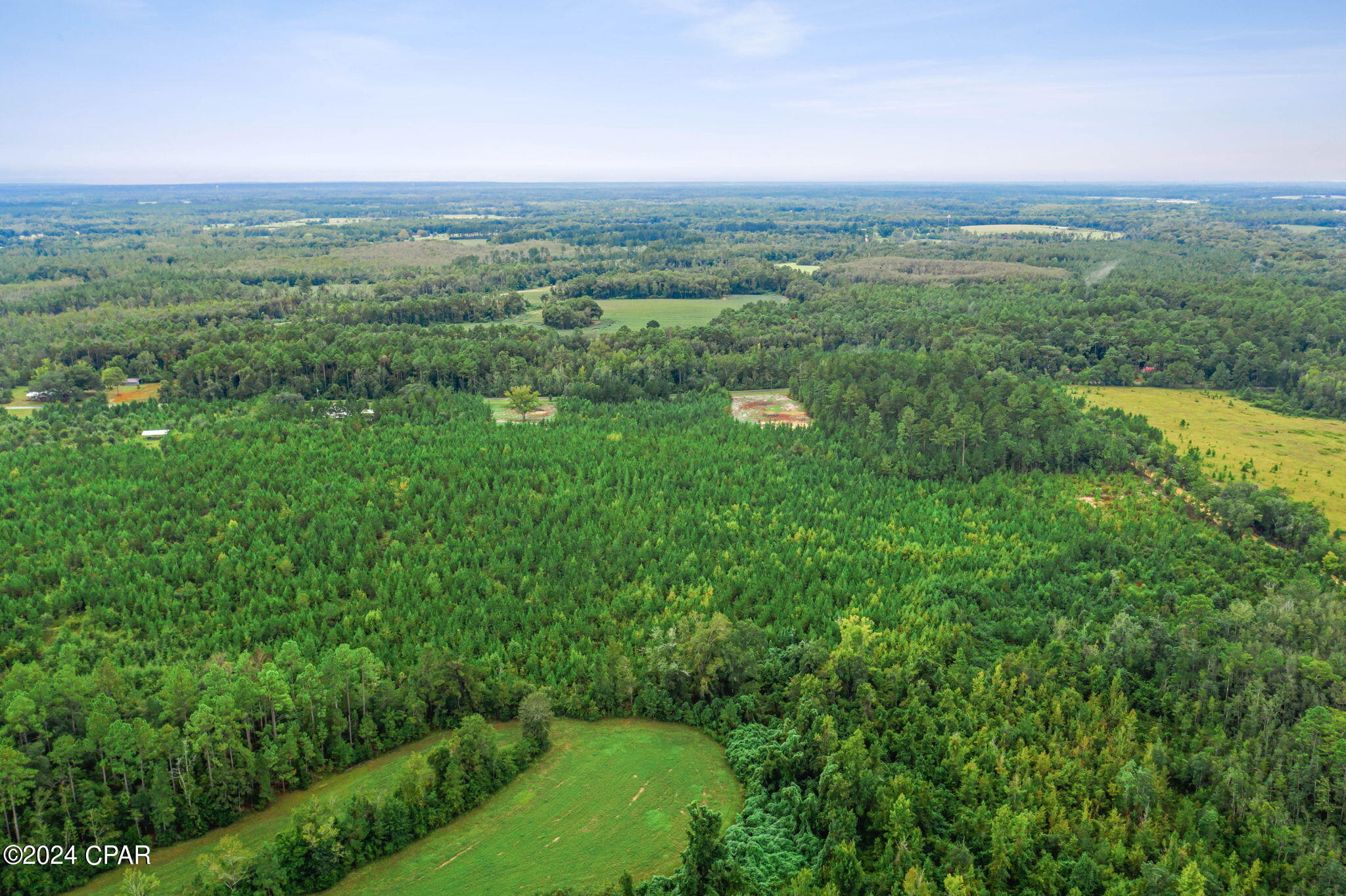 Lot 2 Reddick Mill Road Graceville, FL 32440 - Photo 15 of 21