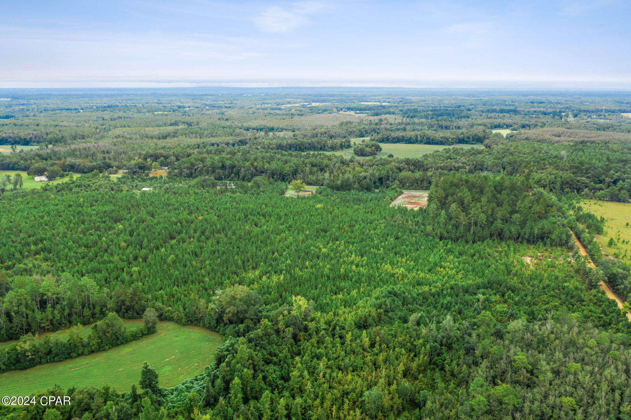 Lot 2 Reddick Mill Road Graceville, FL 32440 - Photo 16 of 21