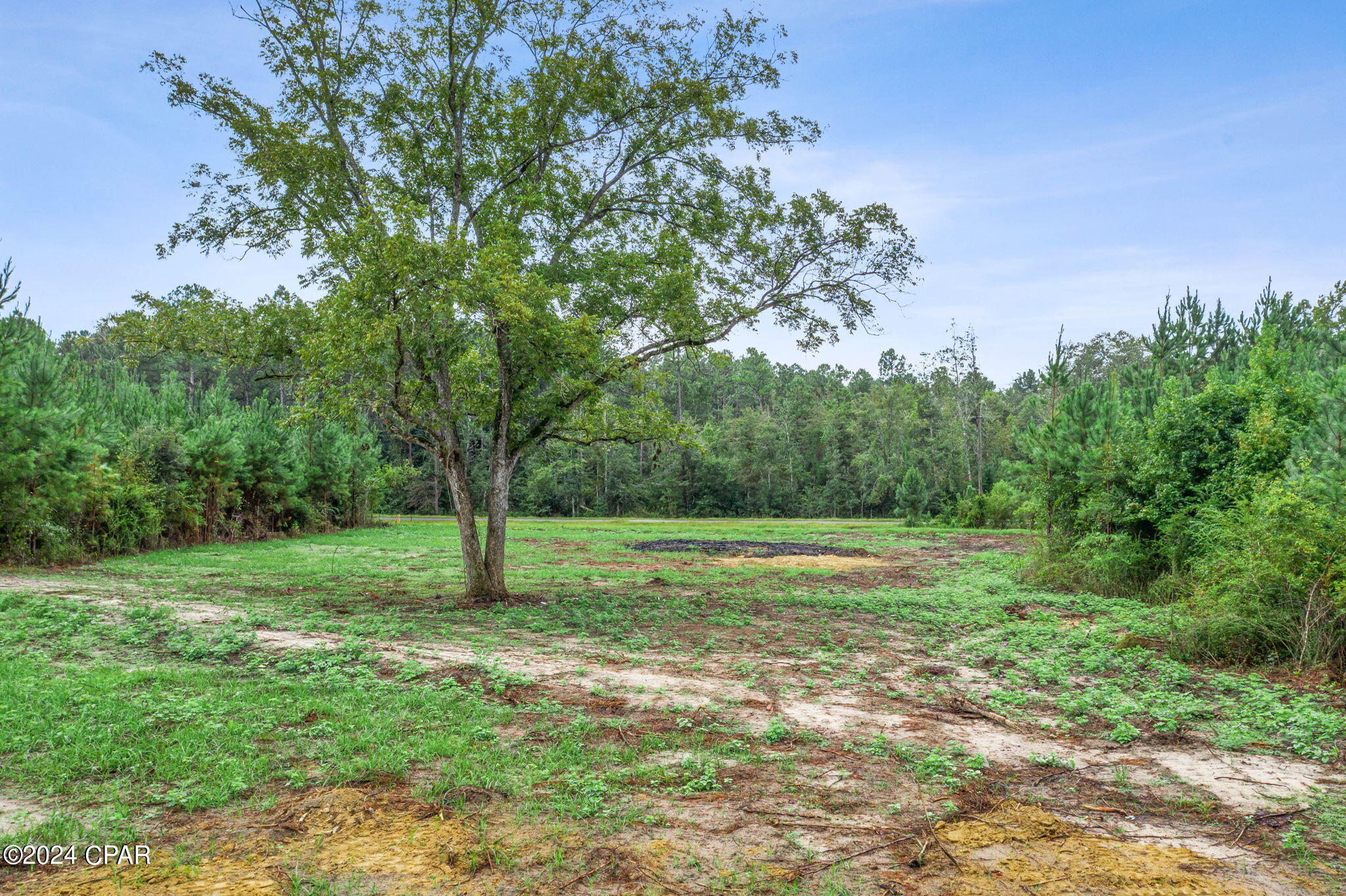 Lot 2 Reddick Mill Road Graceville, FL 32440 - Photo 20 of 21