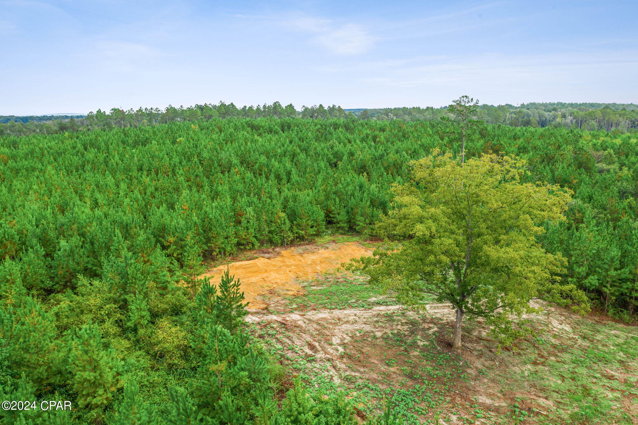 Lot 2 Reddick Mill Road Graceville, FL 32440 - Photo 21 of 21