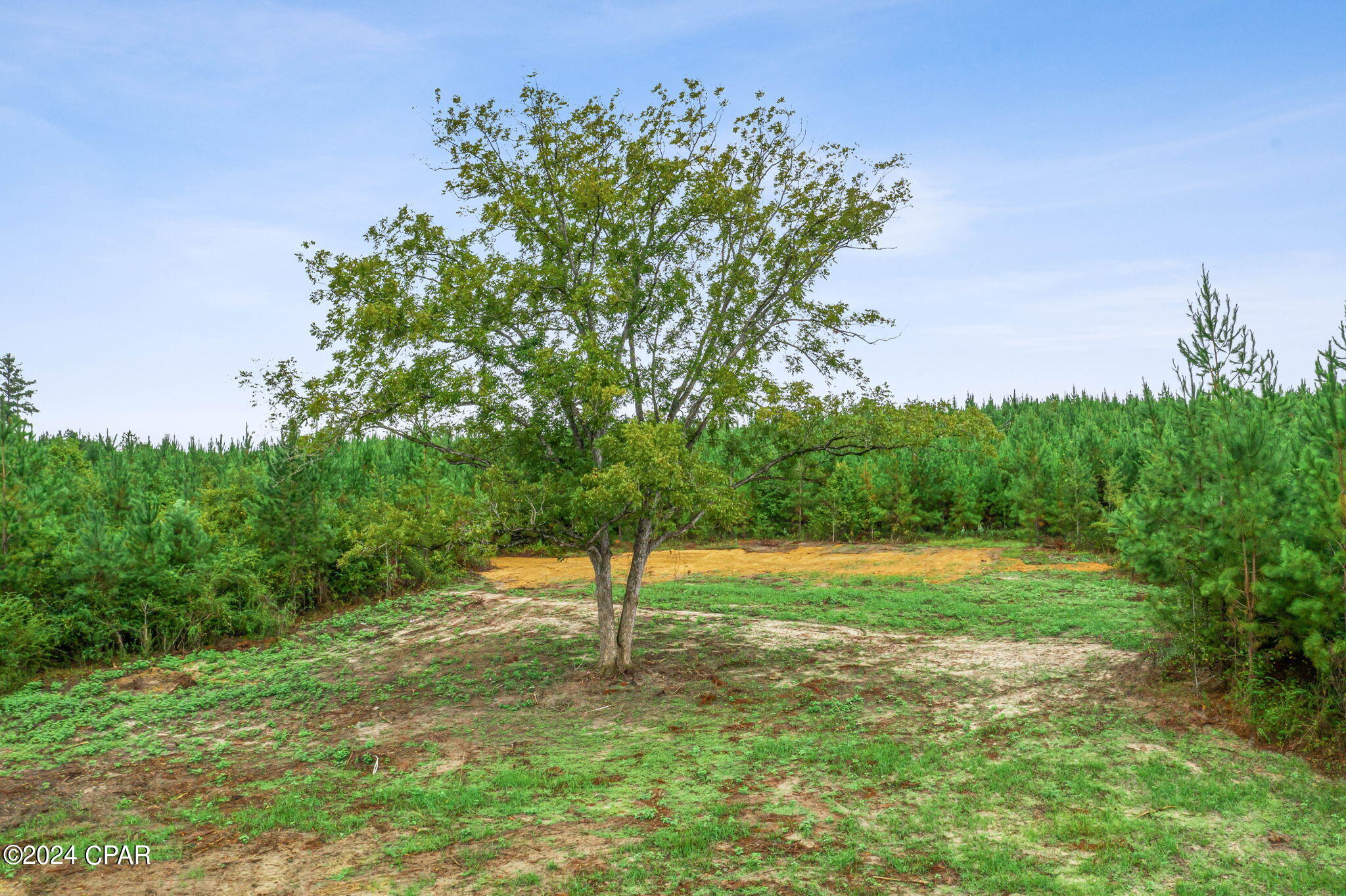 Lot 2 Reddick Mill Road Graceville, FL 32440 - Photo 3 of 21