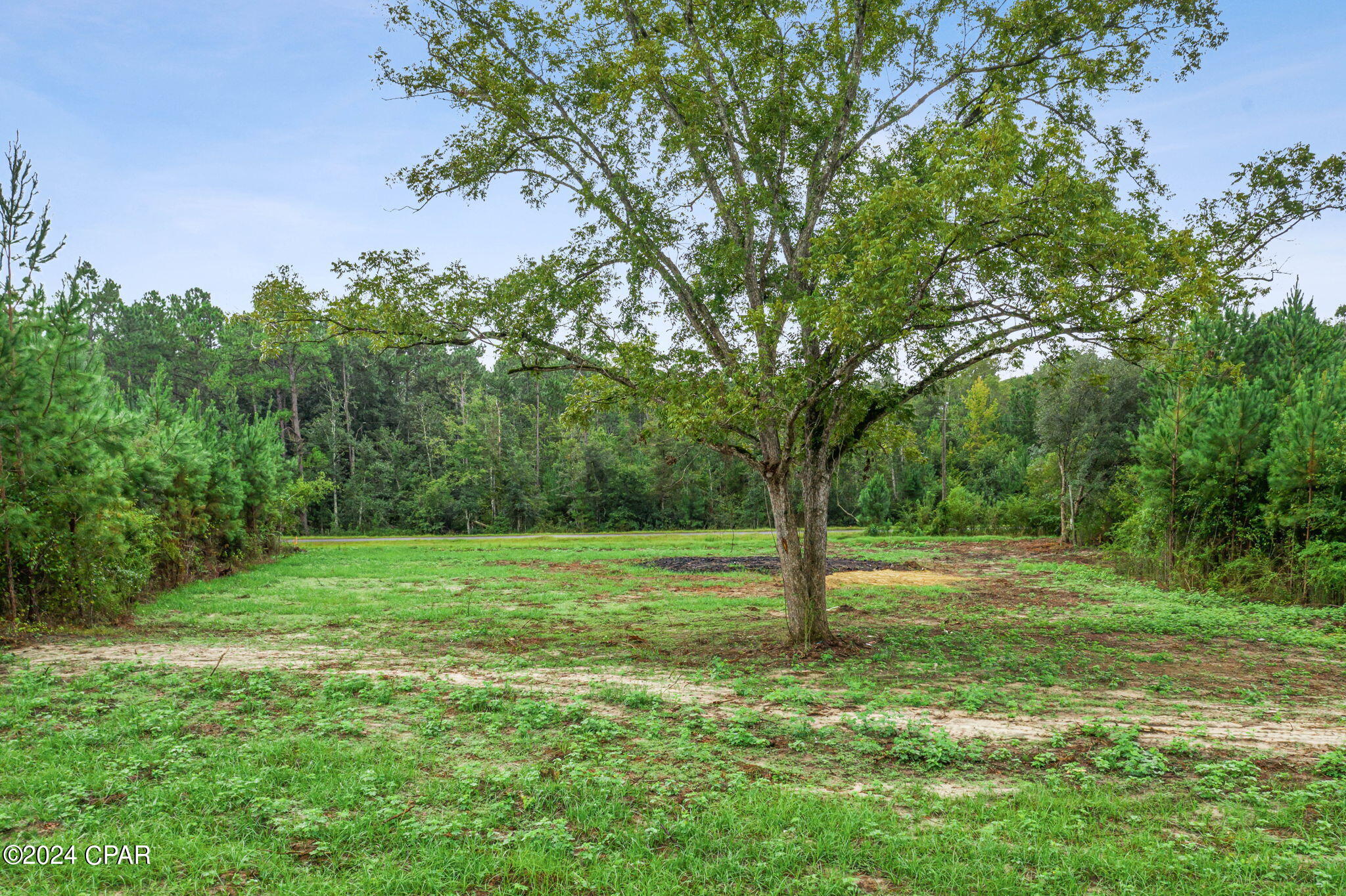 Lot 2 Reddick Mill Road Graceville, FL 32440 - Photo 4 of 21