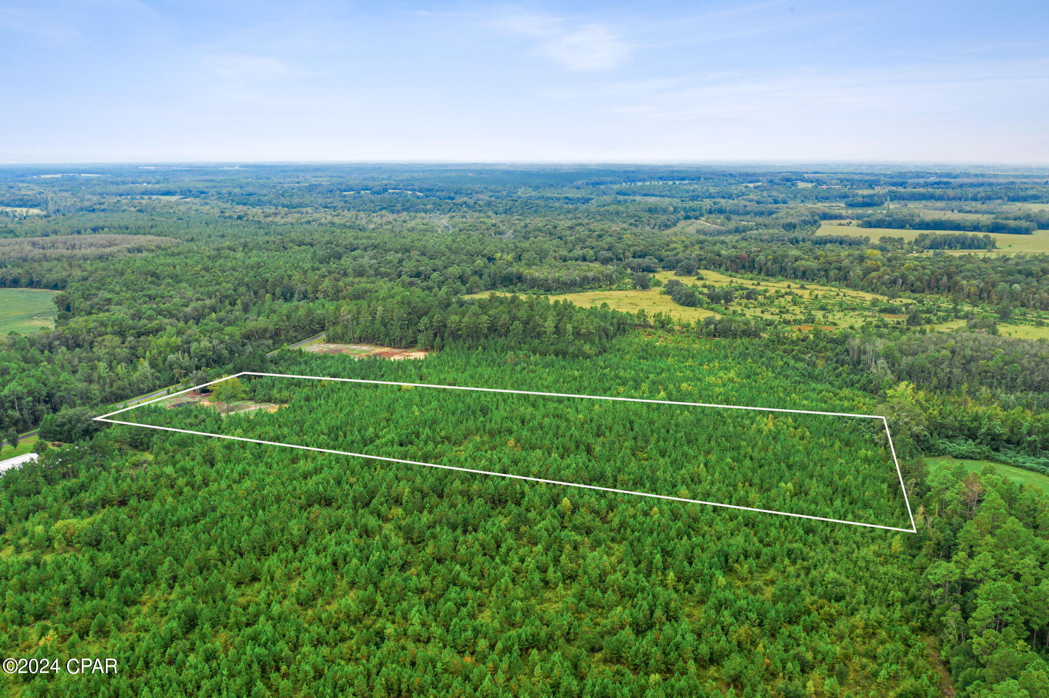Lot 2 Reddick Mill Road Graceville, FL 32440 - Photo 6 of 21