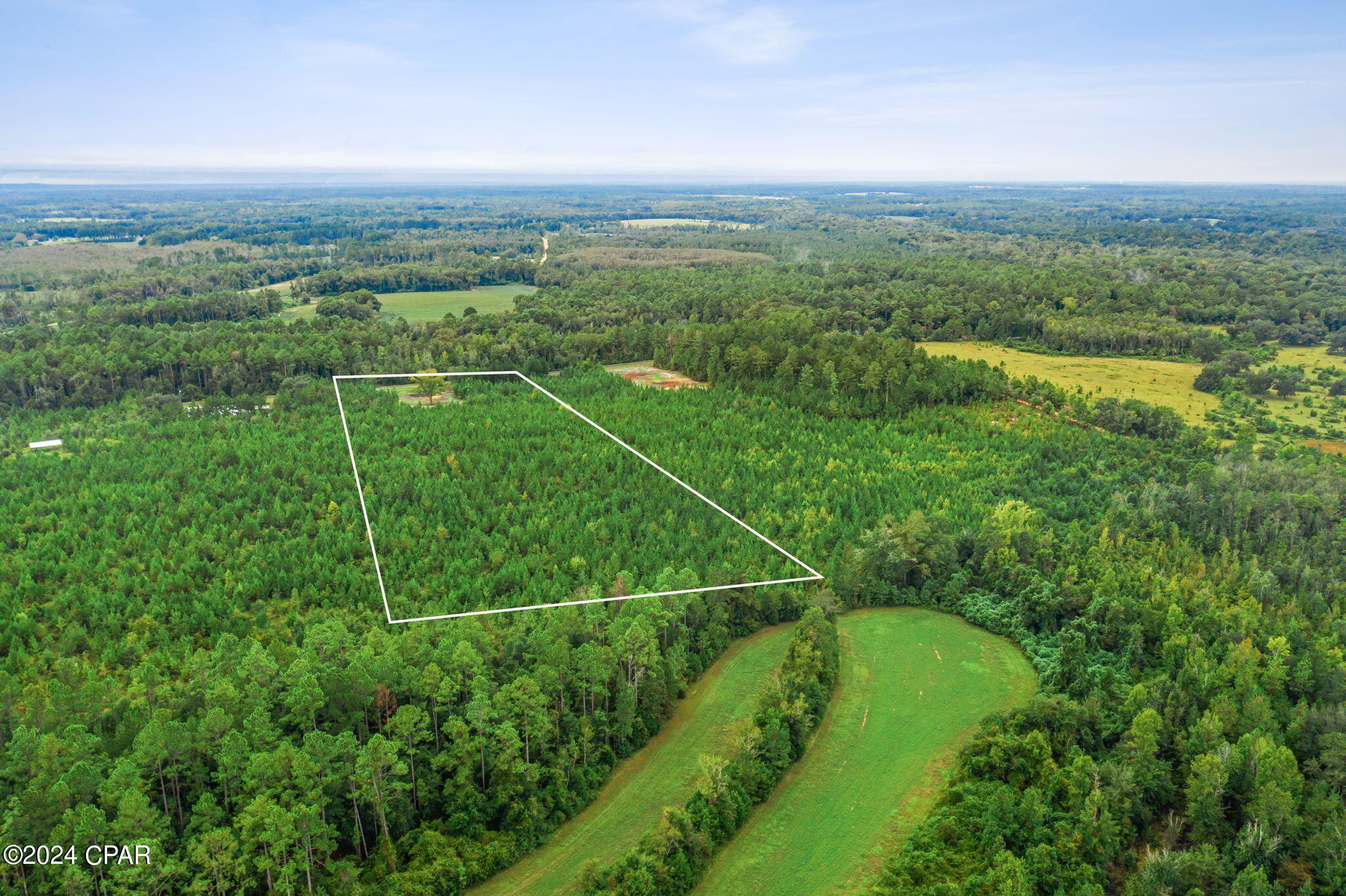 Lot 2 Reddick Mill Road Graceville, FL 32440 - Photo 7 of 21