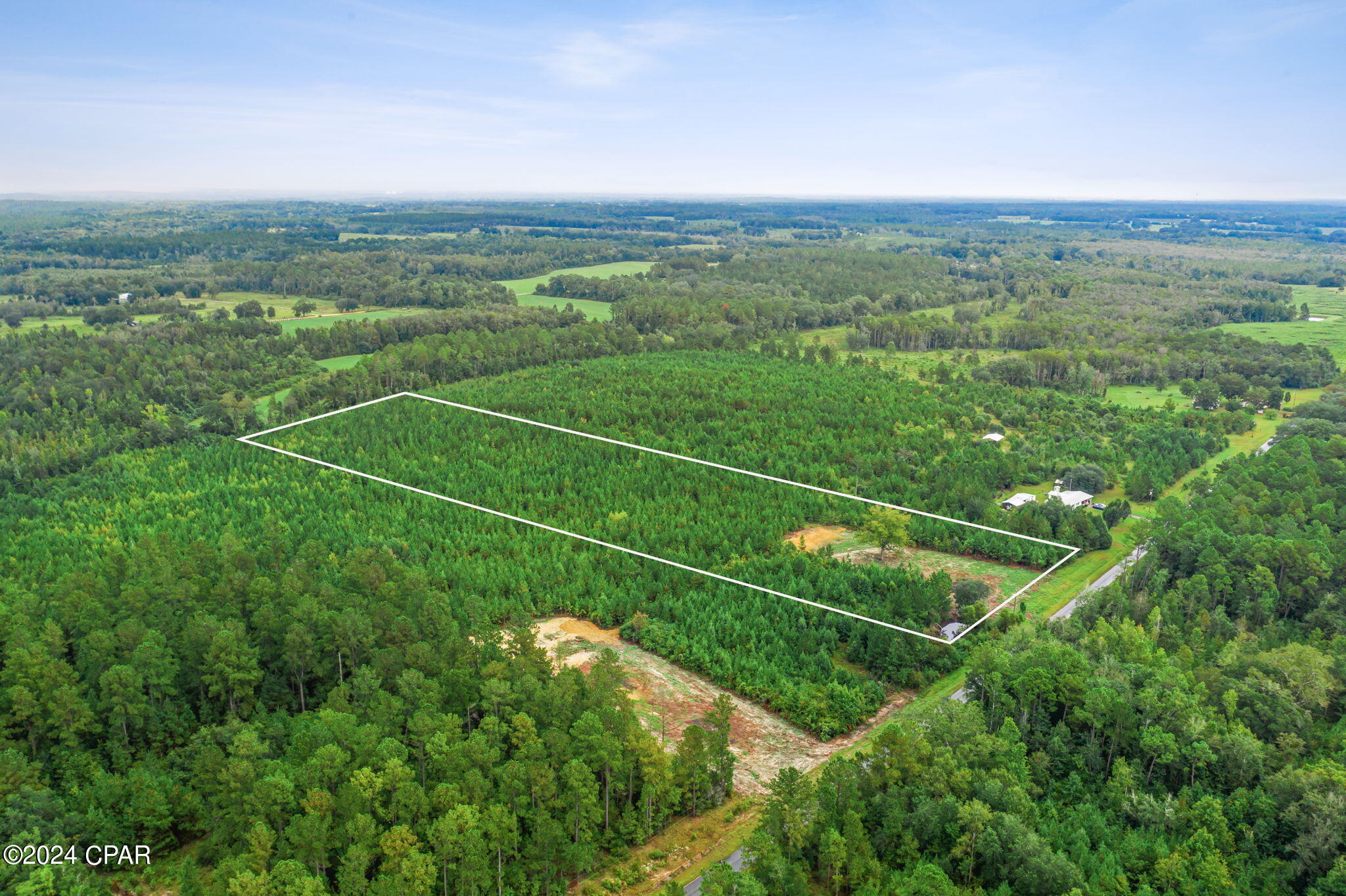Lot 2 Reddick Mill Road Graceville, FL 32440 - Photo 9 of 21