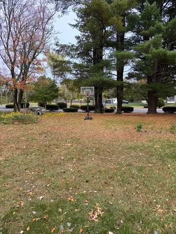 a white house that has a tree in front of the house