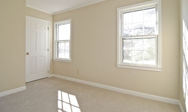 113 Royal Oak Road Greenville, SC 29607 - Photo 16 of 25 Gallery Image 16
