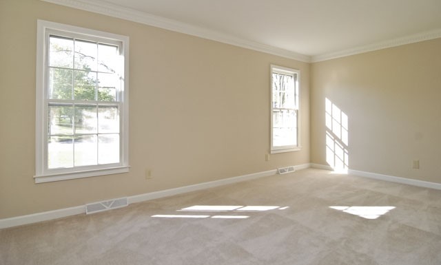 113 Royal Oak Road Greenville, SC 29607 - Photo 3 of 25 Gallery Image 3