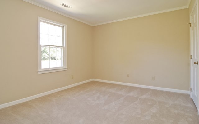 113 Royal Oak Road Greenville, SC 29607 - Photo 21 of 25 Gallery Image 21