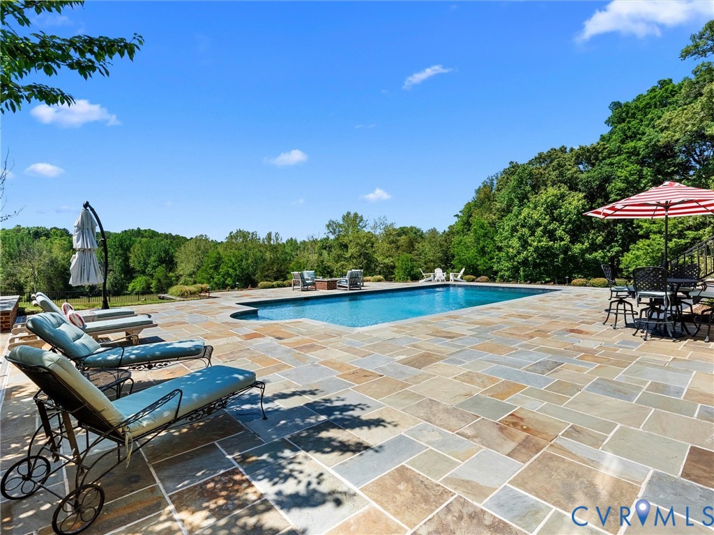1887 Sheppard Town Road Crozier, VA 23039 - Photo 58 of 98 Stone Patio / Gunite Pool overlooking Pasture