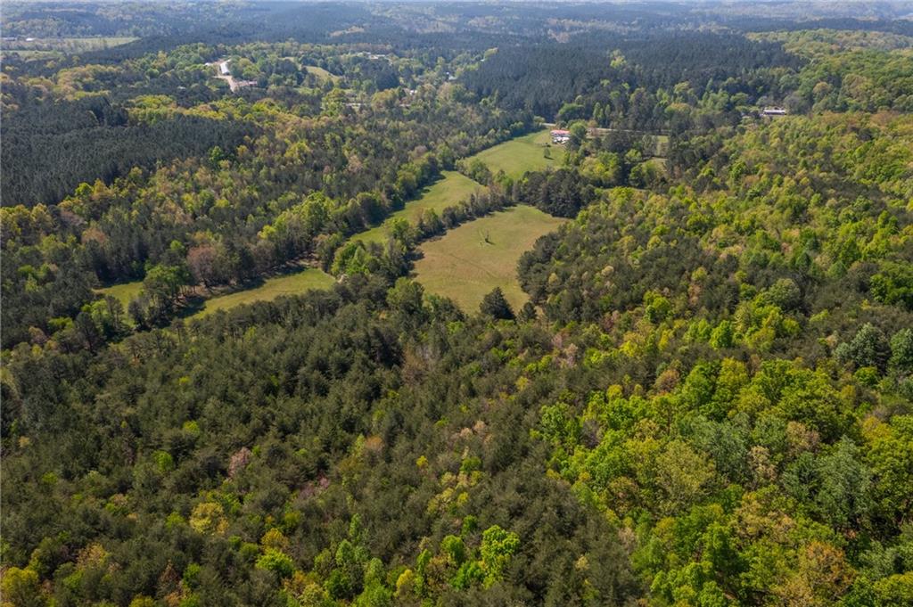 7596 Red Bud Road Northeast Ranger, GA 30734 - Photo 11 of 47 a view of a lot of trees and houses