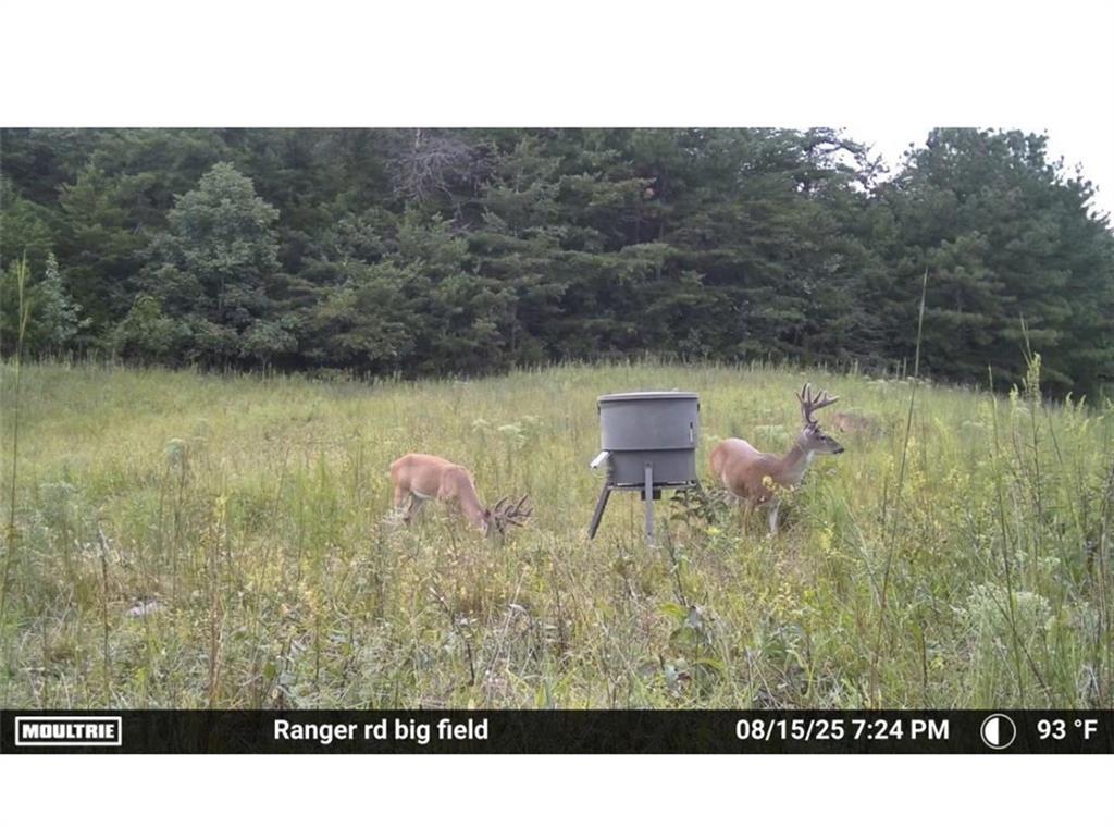 7596 Red Bud Road Northeast Ranger, GA 30734 - Photo 2 of 47