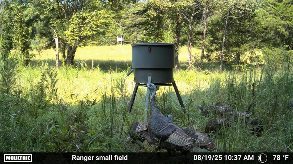 7596 Red Bud Road Northeast Ranger, GA 30734 - Photo 4 of 47 a view of lake