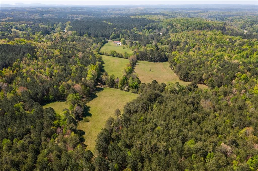 7596 Red Bud Road Northeast Ranger, GA 30734 - Photo 10 of 47