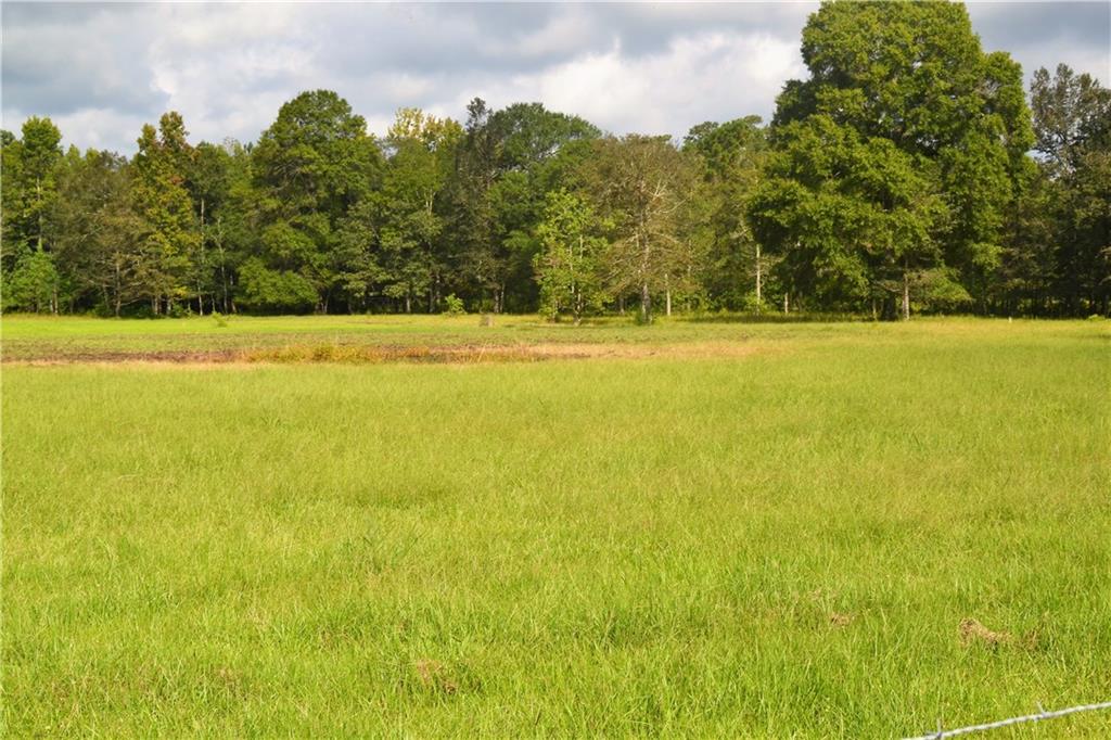 2.5-acres Country Road Covington, LA 70435 - Photo 3 of 6 Gallery Image 3