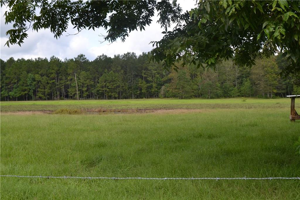 2.5-acres Country Road Covington, LA 70435 - Photo 4 of 6 Gallery Image 4