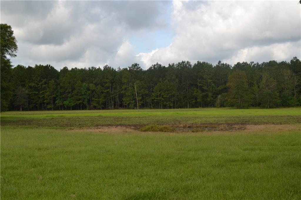 2.5-acres Country Road Covington, LA 70435 - Photo 6 of 6 Gallery Image 6