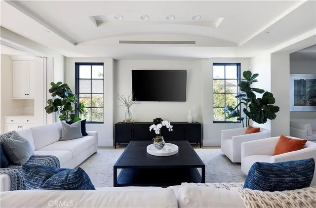a living room with furniture potted plant and a window