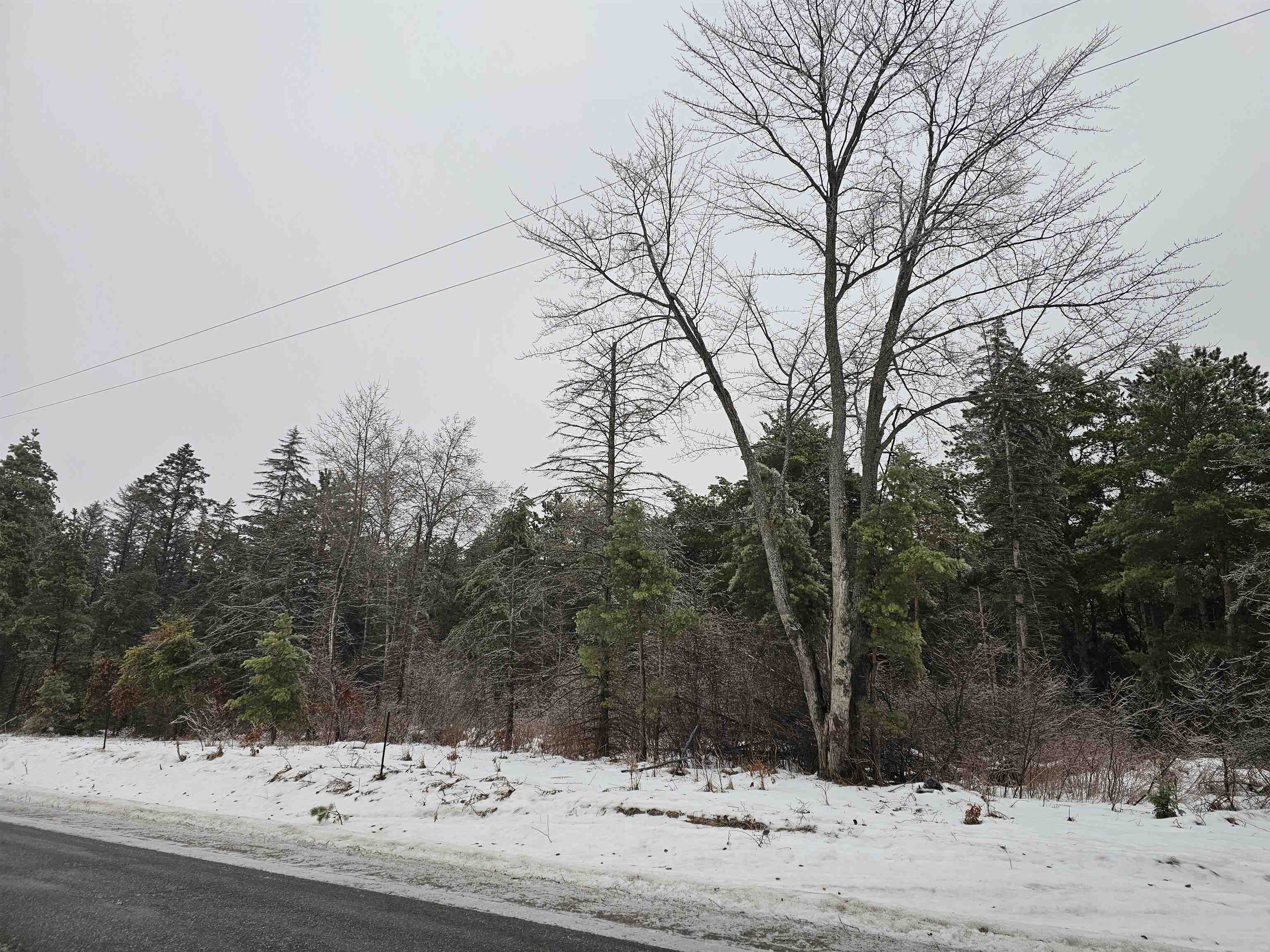 0 South Dickerson Road Lake City, MI 49651 - Photo 14 of 16