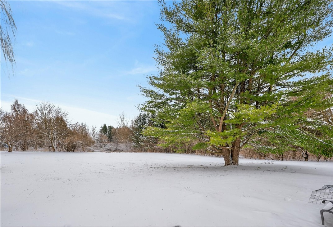 7293 North St Road Sennett, NY 13021 - Photo 34 of 34