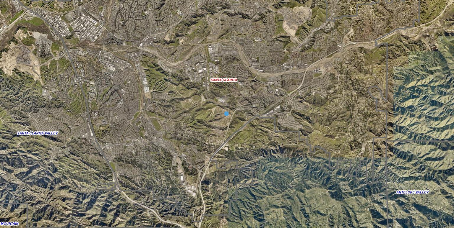 Vac Golden Valley Road Newhall, CA 91321 - Photo 7 of 9 a close up of a plant