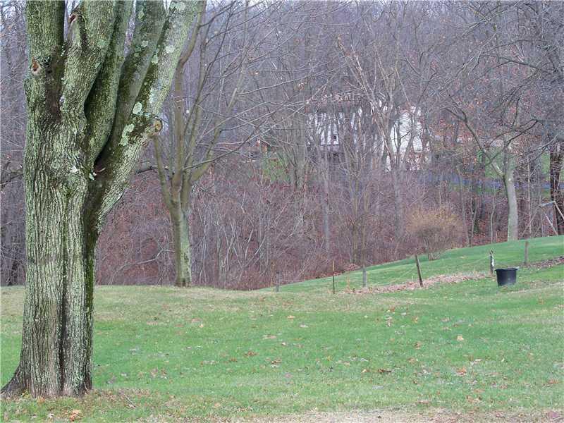 7961 Franklin Road Evans City, PA 16033 - Photo 3 of 19 Yard/Garden. So much yard to enjoy