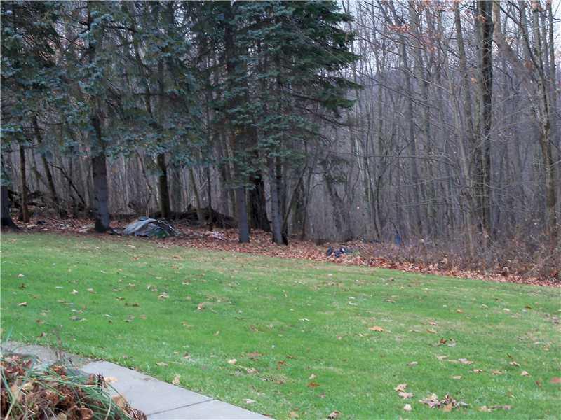 7961 Franklin Road Evans City, PA 16033 - Photo 4 of 19 Yard/Garden. Lots of privacy backing to the woods