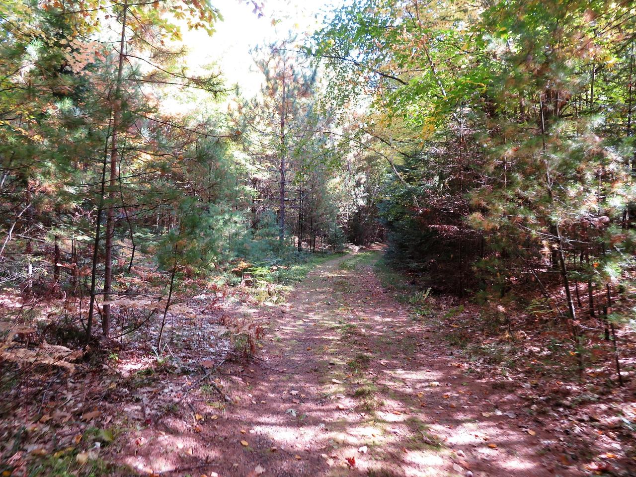 3921 Camp Bryn Afon Road Rhinelander, WI 54501 - Photo 29 of 32 Gallery Image 29