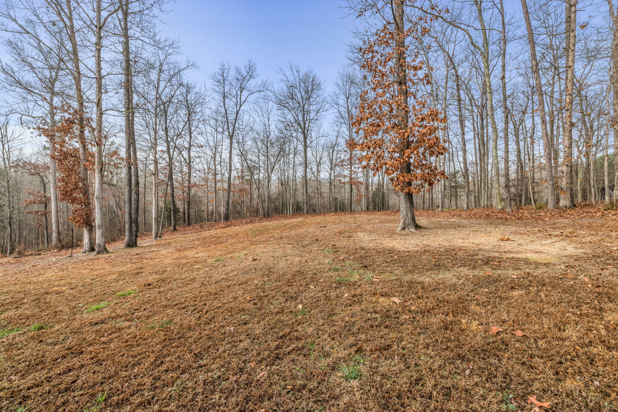7488 Grasshopper Road Georgetown, TN 37336 - Photo 26 of 26 9-web-or-mls-7488-grasshopper-rd