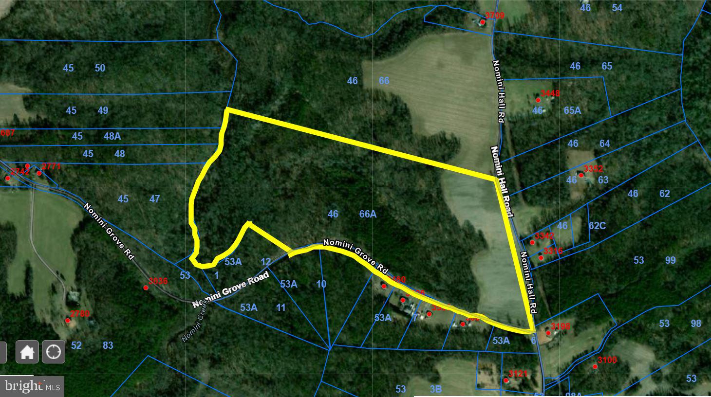 Nomini Hall Road Hague, VA 22469 - Photo 2 of 6 approximately 10 acres cleared and 58 acres wooded