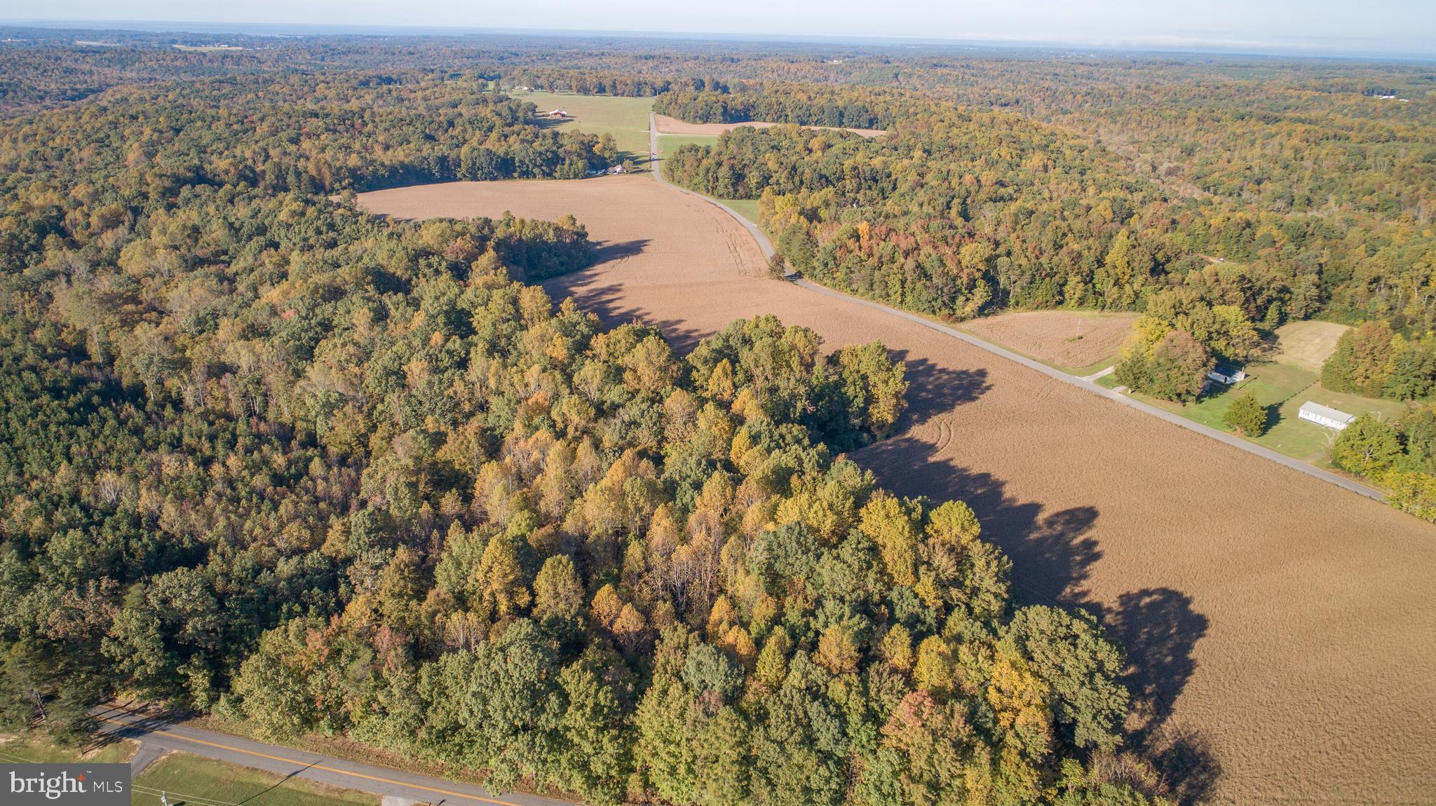 Nomini Hall Road Hague, VA 22469 - Photo 5 of 6 Gallery Image 5