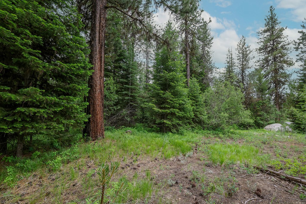 431 Timbercrest Loop, Unit 4 McCall, ID 83638 - Photo 14 of 28