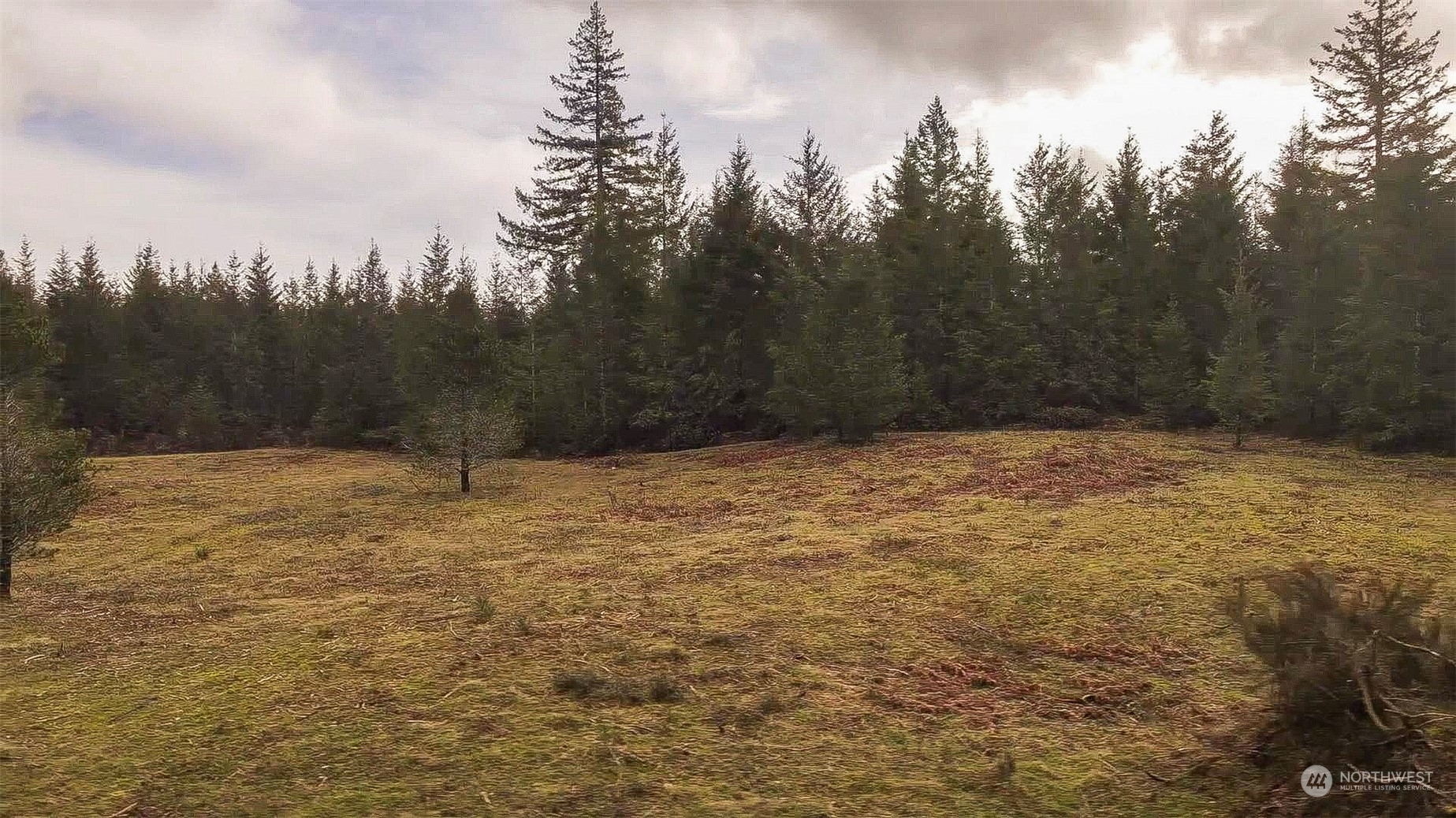 150 East Gault Road Union, WA 98592 - Photo 3 of 15 Gallery Image 3
