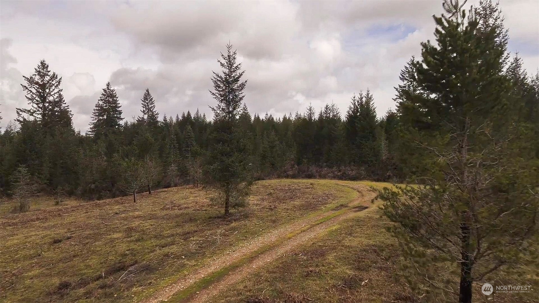 150 East Gault Road Union, WA 98592 - Photo 10 of 15 Gallery Image 10