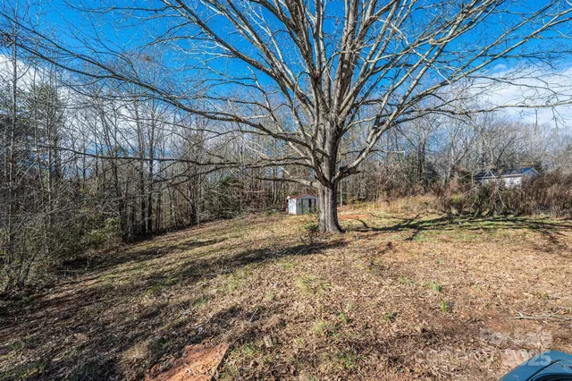 a view of a yard with a tree
