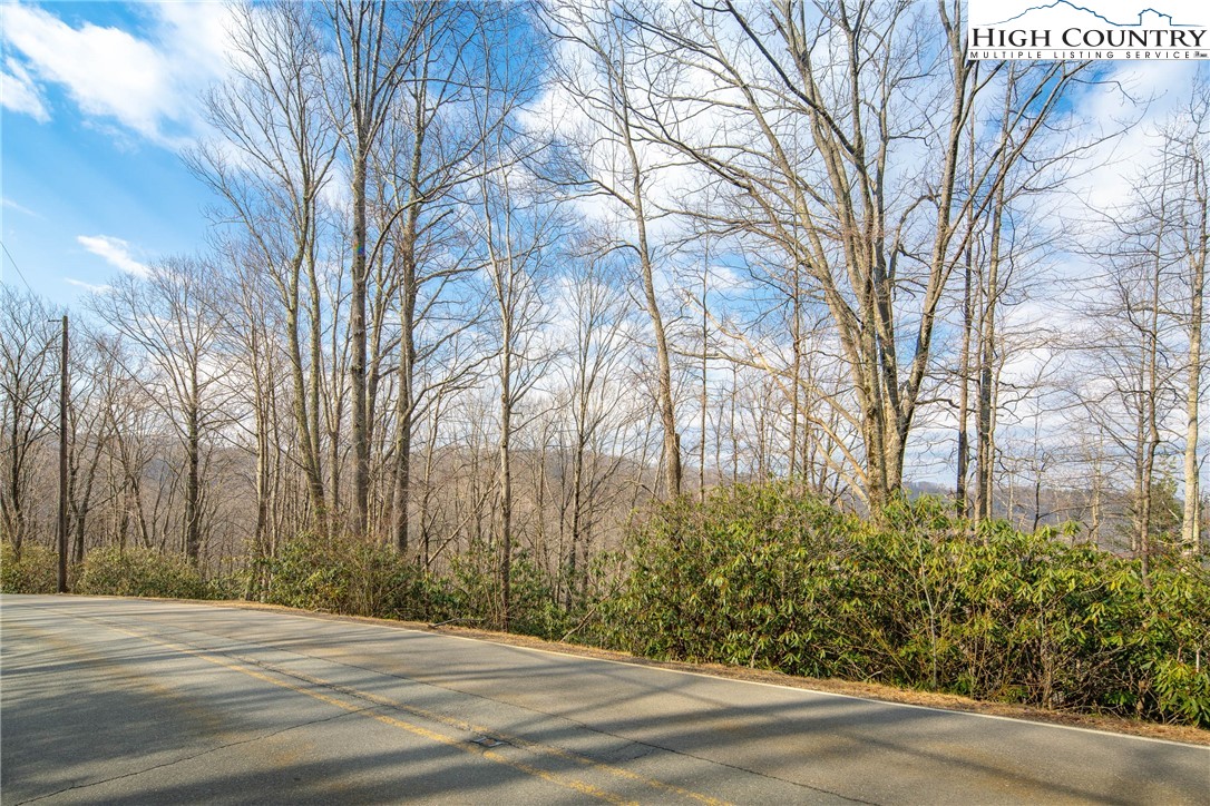1122 Pine Ridge Road Beech Mountain, NC 28604 - Photo 37 of 38 a view of a house with a yard and trees
