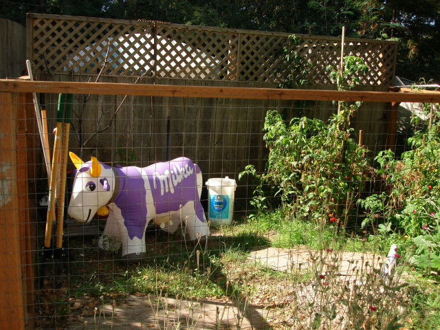 101 Charles Hill Road Santa Cruz, CA 95065 - Photo 9 of 14 Gallery Image 9
