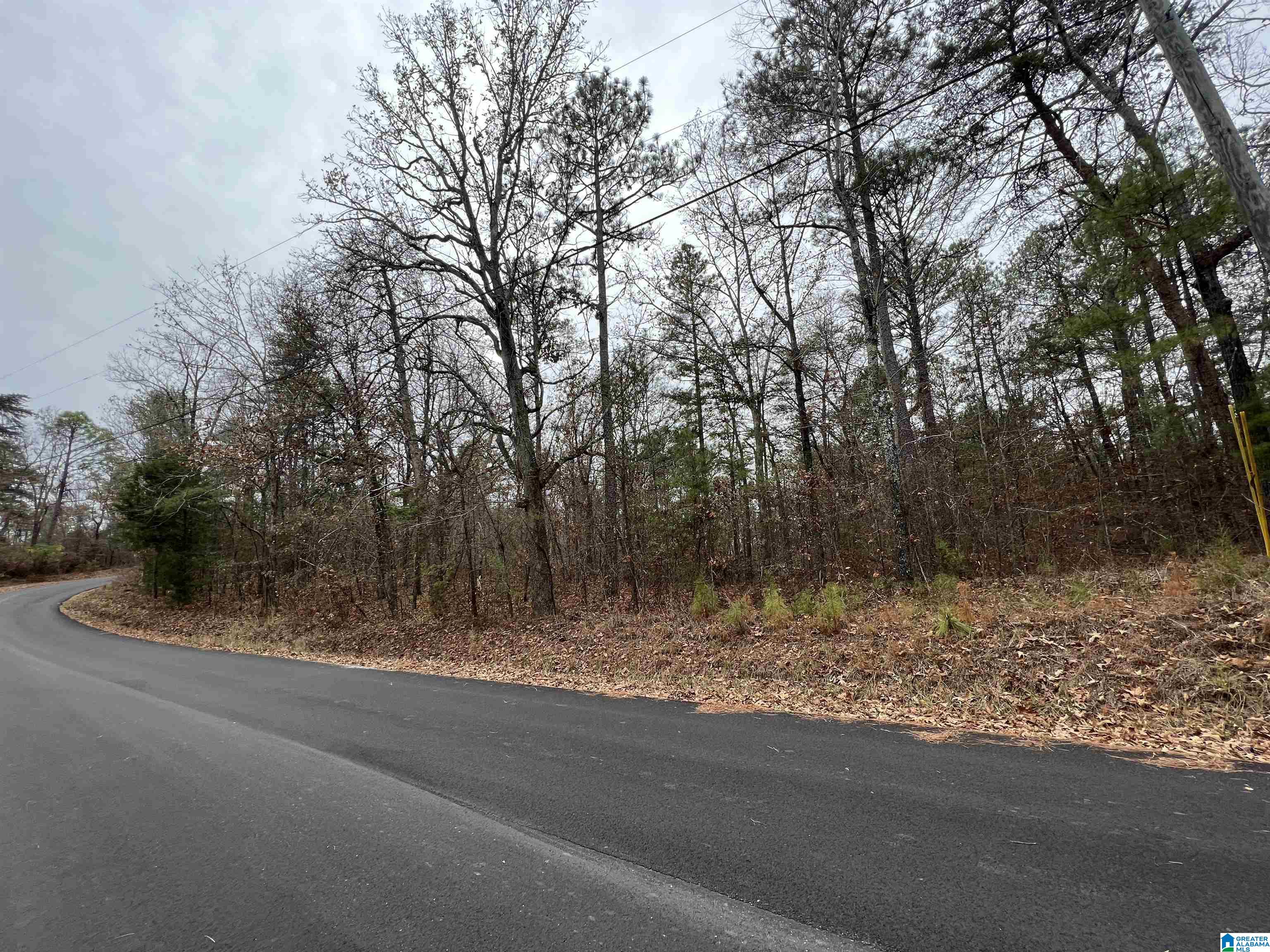 0 Mountain View Circle, Unit 35 Vance, AL 35490 - Photo 4 of 5