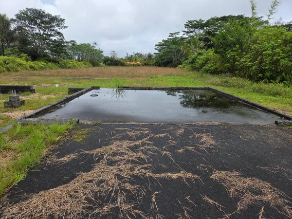$100,000 | 13-3451 Lot 14 Oneloa Street, Pahoa, HI 96778
