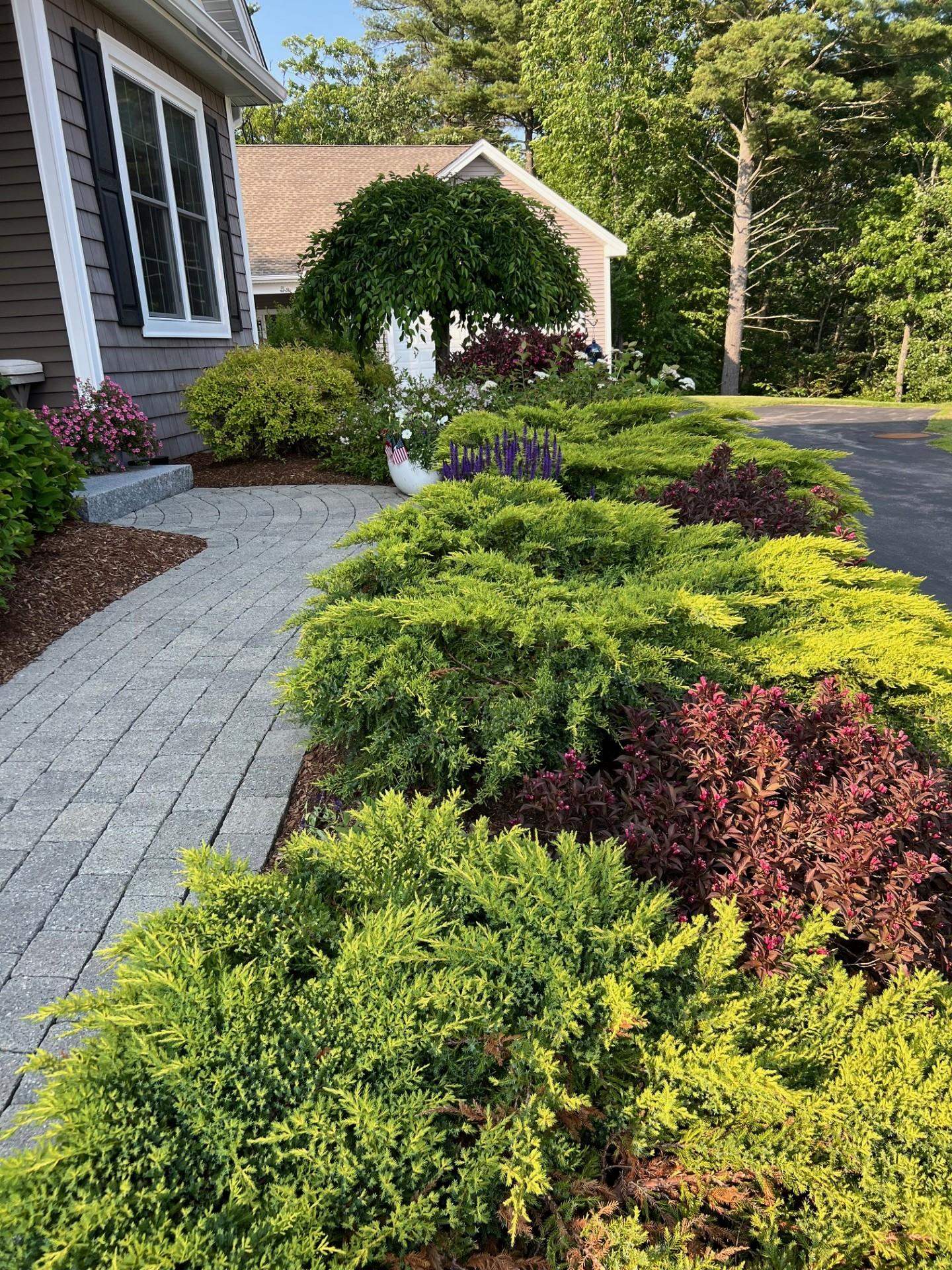 43 Maple Leaf Way Manchester, NH 03102 - Photo 58 of 60