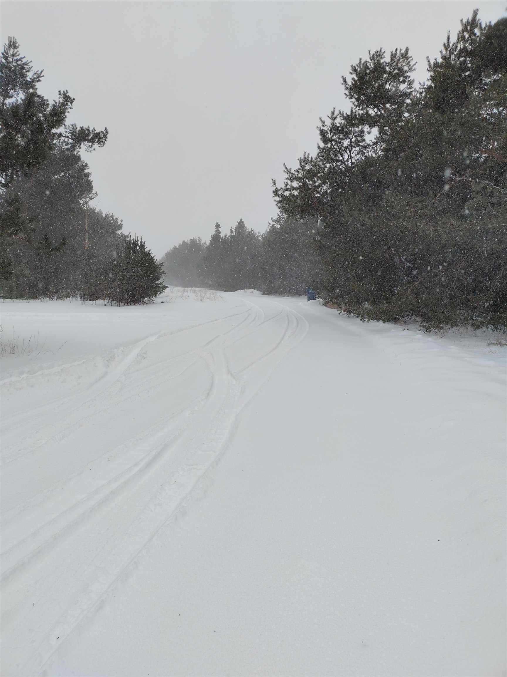 0 Old Pineway Trail Mesick, MI 49668 - Photo 4 of 12
