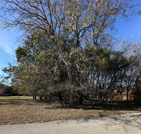 a view of a yard