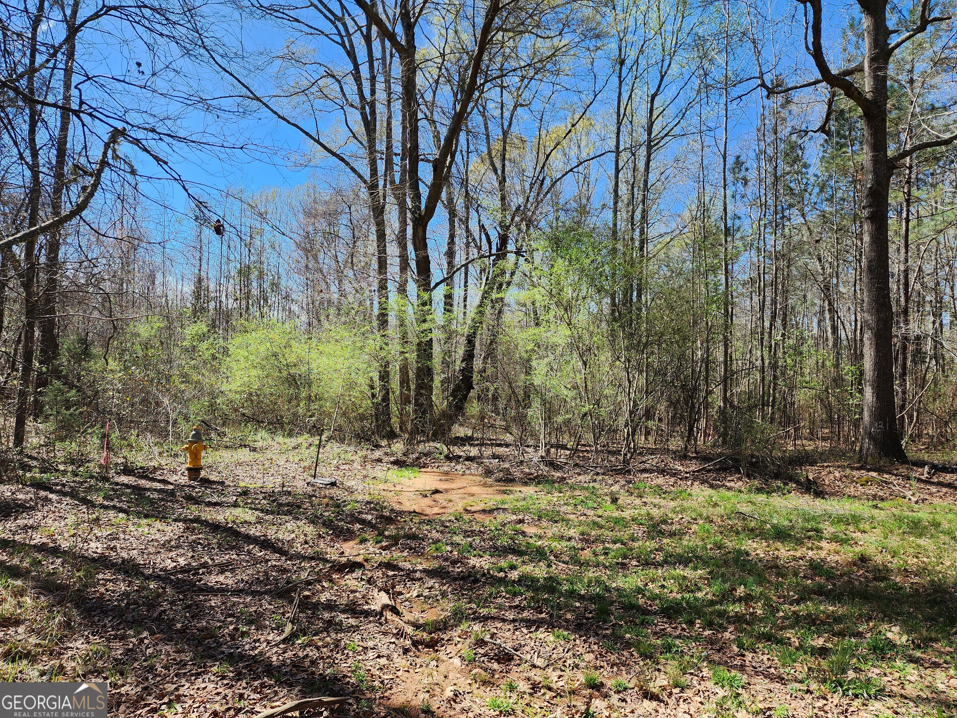 0 Deer Ridge Drive Hamilton, GA 31811 - Photo 10 of 15