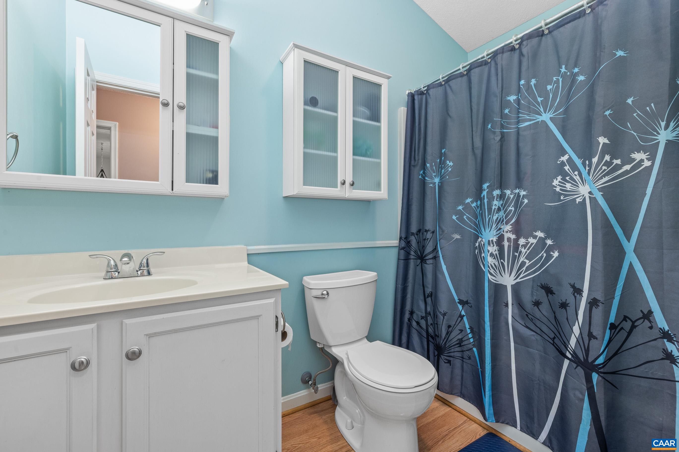 21 Ashton Road Palmyra, VA 22963 - Photo 17 of 35 Hall Bathroom