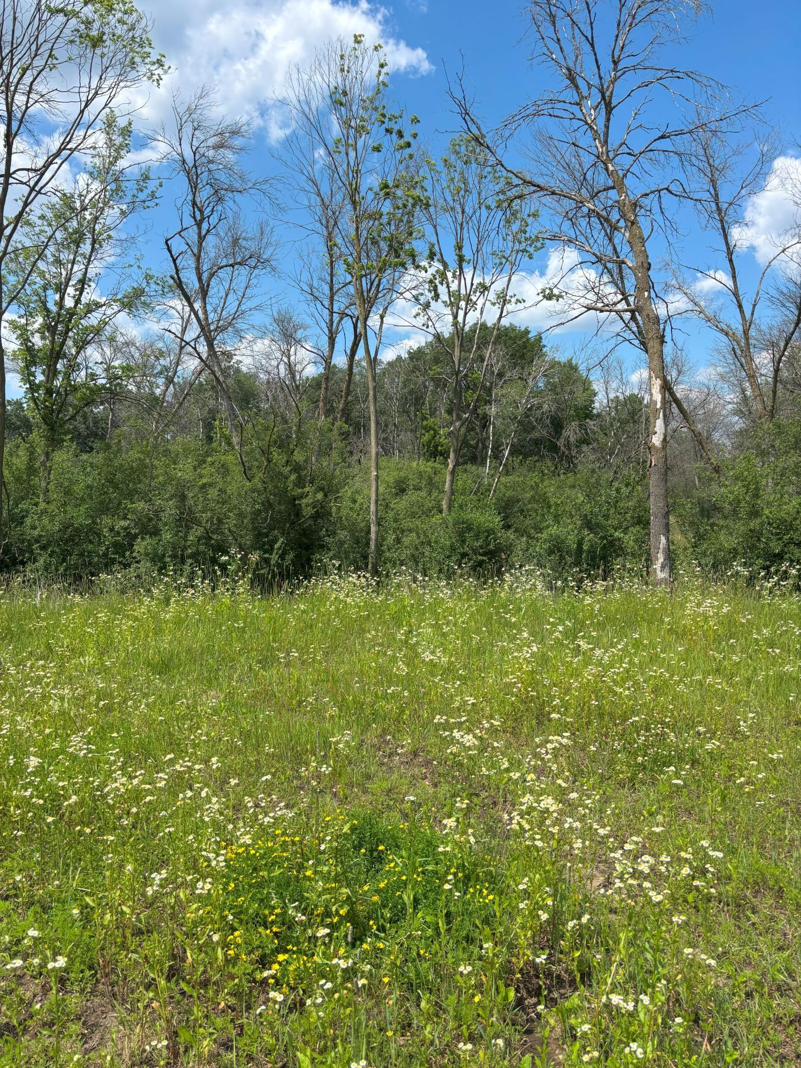 907 Fox Road Lino Lakes, MN 55014 - Photo 15 of 15
