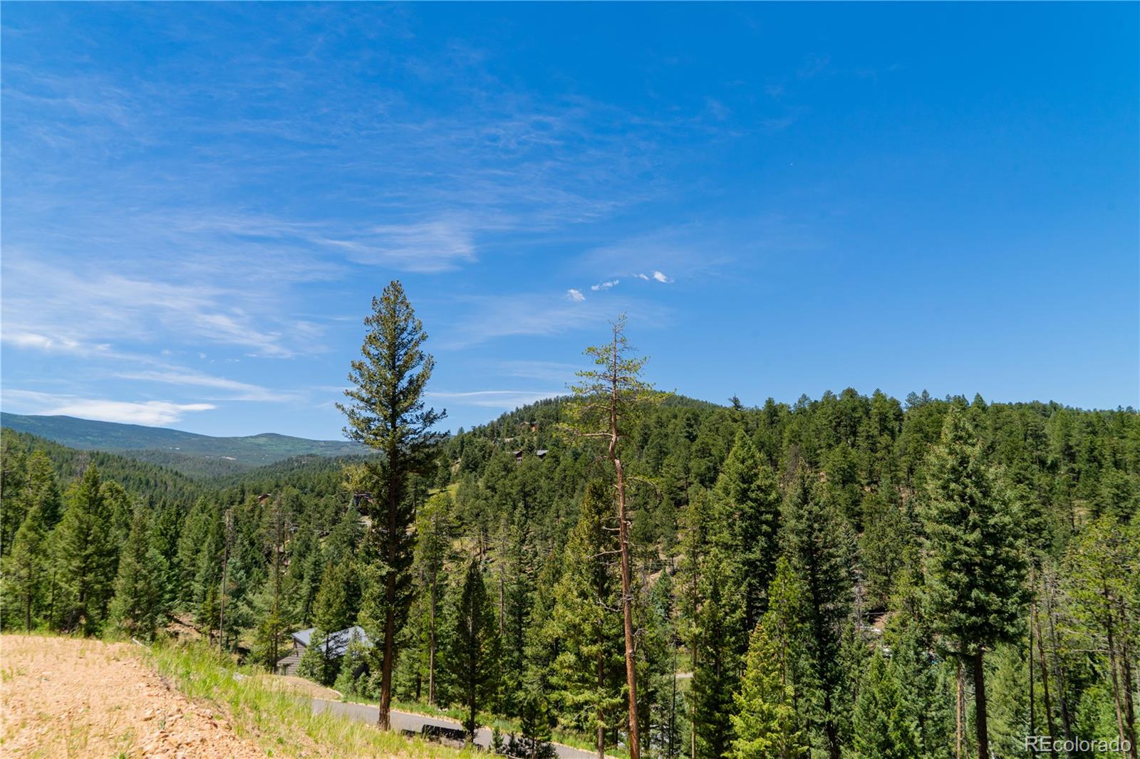 6814 Lynx Lair Road Evergreen, CO 80439 - Photo 5 of 19