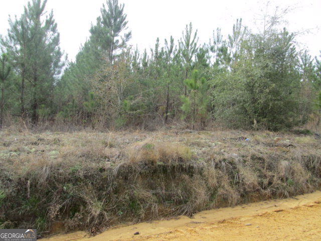 1 Canady Bridge Road Twin City, GA 30471 - Photo 1 of 1 Main View